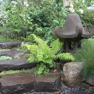 Hoveniersbedrijf A. Veenstra image 2