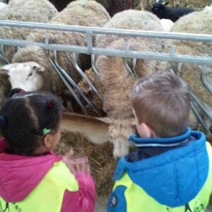 Kinderopvang Hollands Kroon Den Oever B.V. image 2