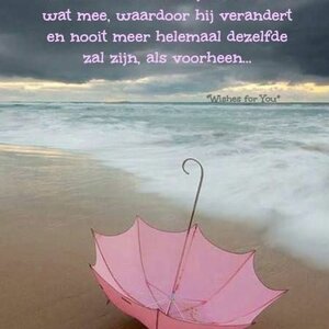 De Lantaarn Coaching image 2