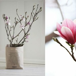 BLOEMISTERIJ DE KEIZERSKROON image 2