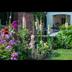 vof Tuincentrum Schoutenbos image 3