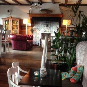 De Gouden Karper image 4