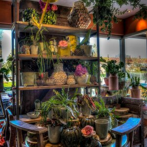 Amazing Wonen en Bloemen image 3