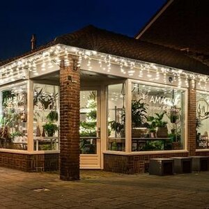 Amazing Wonen en Bloemen image 8