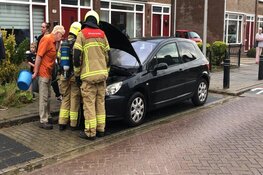 Oplettende buurman blust autobrand in Hippolytushoef