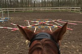 Wironruiters springen &#39;uit de band&#39;