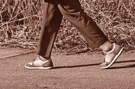 Downloads van wandelroutes op Noord-Hollandpad verdubbeld