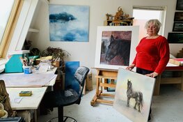 Prachtig schilderij van Frea Mea voor Wironruiters