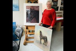 Prachtig schilderij van Frea Mea voor Wironruiters