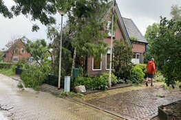 Grote boom tegen woning gewaaid in Westerland, veel schade
