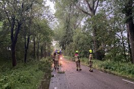 Takken op de weg gewaaid nabij Van Ewijcksluis