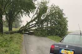 Boom op weg gewaaid en wegen afgesloten bij Anna Paulowna