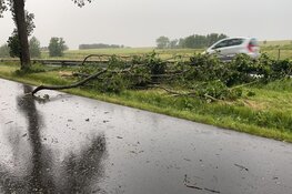 Fotoalbum: veel wateroverlast in grote delen van Noord-Holland