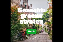 Groene Straten gezocht