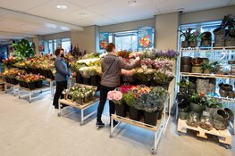 Nieuwe Albert Heijn Wieringerwerf verrast met vers en gemak