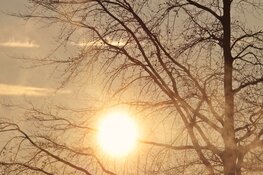 Maart begint droog en zonnig