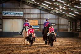 ‘Dansen te Paard’: Wironruiters houden de ‘Kür op muziekcompetitie’