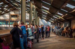 ‘Dansen te Paard’: Wironruiters houden de ‘Kür op muziekcompetitie’