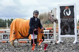 Weekend vol paarden-bekijks ‘Concours de Wironruiters’