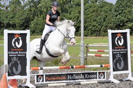 Weekend vol paarden-bekijks ‘Concours de Wironruiters’