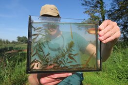 Open dag VisKringloop Wieringermeer