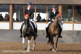 Paardrijvereniging de Wironruiters luidt 2023 grootst in