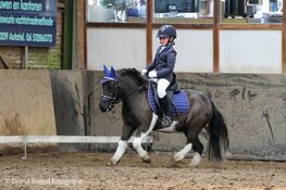 Paardrijvereniging de Wironruiters luidt 2023 grootst in