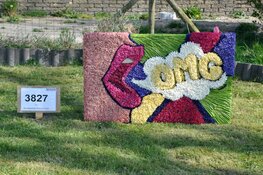 Doe dit jaar mee met de Bloemendagen