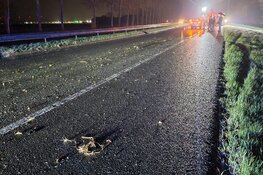 Flinke ravage en gewonde bij ongeval op A7