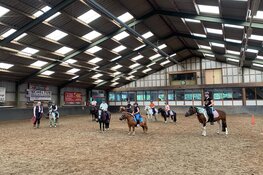 Wironruiters in volle galop door eerste bestuurstermijn