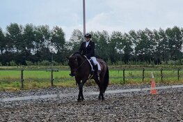 Wironruiters in volle galop door eerste bestuurstermijn