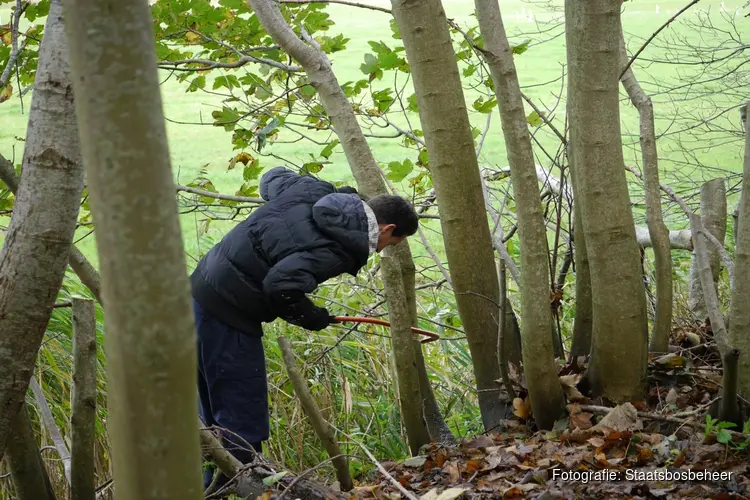 Natuurwerkdag bij Staatsbosbeheer in het Dijkgatbos