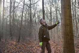 Voorbereidingen boswerkzaamheden Robbenoordbos van start