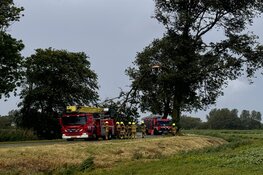Brandweer komt in actie voor stormschade in Anna Paulowna