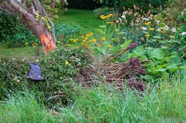 Auto in voortuin gecrasht in Wieringerwaard