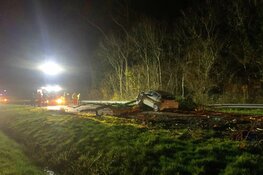 Automobilist rijdt tegen omgewaaide boom in Hippolytushoef
