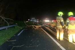 Automobilist rijdt tegen omgewaaide boom in Hippolytushoef