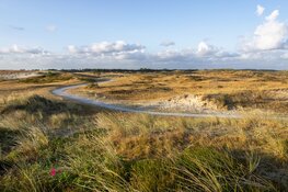 Help de natuur bij jou in de buurt!