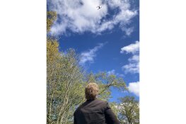 Bloemendagen vanuit de lucht gezien