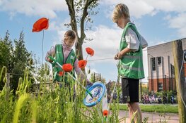 Grootste opruim- en opschoonactie ooit: "Hollands Kroon in 1 Dag Schoon”