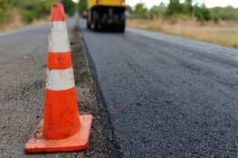 Staalslakken in Hollands Kroon: wat we weten en wat we doen