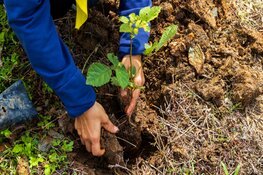 Hollands Kroon stap voor stap groener en energiezuiniger