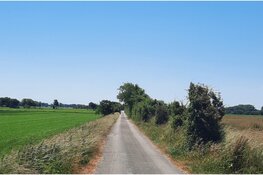 GEZOCHT: Grondeigenaren voor herstel uniek Wieringer landschap