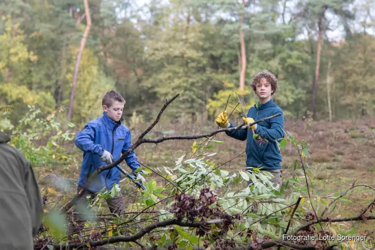 Natuurwerkdag bij Staatsbosbeheer in het Robbenoordbos