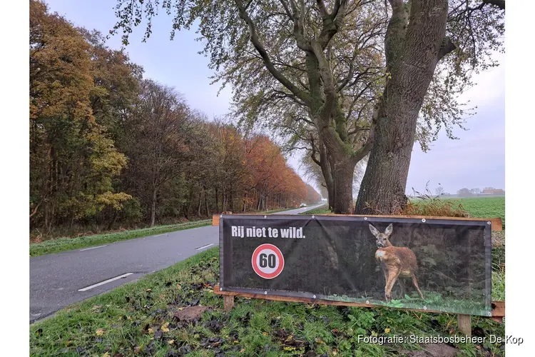 Campagne ‘Rij niet te wild’ van start rondom Robbenoord- en Dijkgatbos