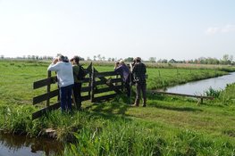 Help jij mee om boerenlandvogels te beschermen op Wieringen?
