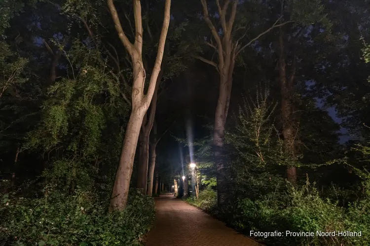 Provincie Noord-Holland vernieuwt beleid verlichting: licht waar het moet, donker waar het kan