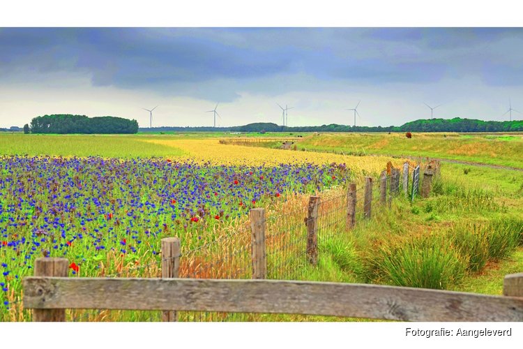 Op de trekker klimmen en tulpen plukken?