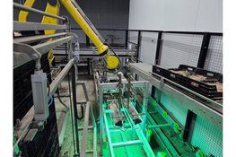 Kijkje achter de schermen bij Kruijer Bloembollen