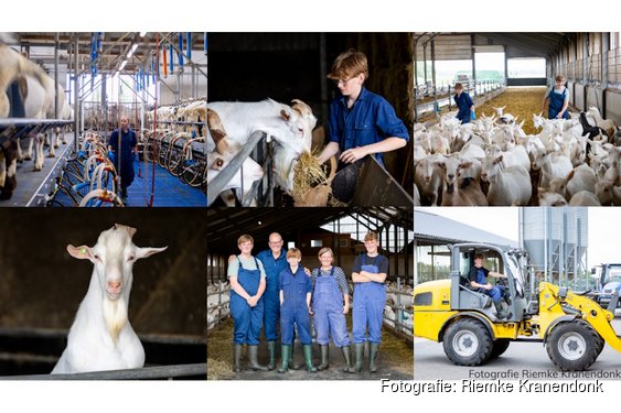 Win een kijkje achter de schermen bij melkgeitenbedrijf De Wierhoeve in Hippolytushoef